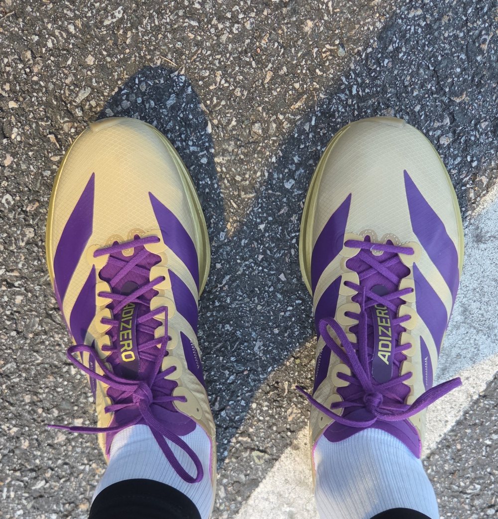 Et par Adidas Takumi Zen 11 sett ovenfra, gule med lilla striper og lilla
                lisser, på asfalt ved en hvit veistripe.